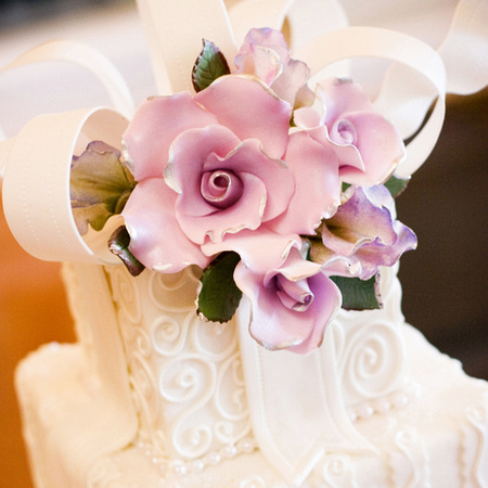 sarasota-wedding-photography-cake